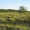 Cadastro de Compromisso Socioambiental - Fazenda Paraiso - Cadastrada desde 2010