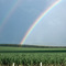 Arco Iris na Anhanguera, São Simão, SP, Brasil