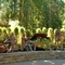 Belknap Springs Band