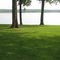 Grand Lake
