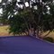 View from Roof of Rural Northwest Georgia Home