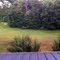 View from Roof of Rural Northwest Georgia Home