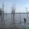 Lago Agua Limpa - Itacaiu - Britânia - Goiás