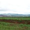 vale do sao patricio