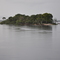 Ilha do Guariba - Rio Negro, AM - Brasil