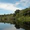 Amazonas, Rio Negro