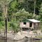Amazonas, Rio Negro