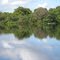 Amazônia a rainha das florestas. Amazon Reine des forêts. Amazon