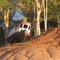 Popeye Boat along the Reo Negro River Amazonas Brazil