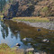 South Fork Clearwater River