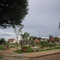 Pedro Afonso Praça Serapião