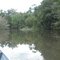 Rio Parado, bom de Matrinchã