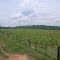 Cadastro de Compromisso Socioambiental - Fazenda Pontal - Cadastrada desde 2010