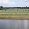 11.ラモス川沿岸の氾濫原と台地（パリンチンス郊外）　Várzea and terra firme along the Paraná do Ramos, Parintins　