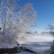 Wetlands under Ice
