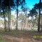 fazenda Espigão