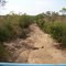 Rio totalmente seco no sul do estado do Tocantins, município de Paranã.