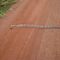 Jiboia, snake   #sc