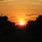 por do sol  entre arvores (P.A.N)