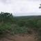 Fazenda Sr. Dominguinhos
