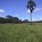 Vereda da Serra do Gigante