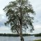 Natureza