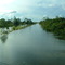 Caracaraí - cheia do rio Branco