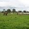 Fazenda Doverlândia
