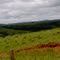 Fazenda Princesa, Doverlândia - GO