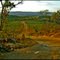 Estrada cortando o Cerrado Goiano.