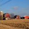 Country Farm