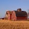 Red Rustic Barn