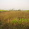 Projeto Ambiental da Faz.Rio Claro (Denise-MT).Eng.Florestal Mazinho.Tel.9915-4130