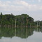 lagoa na Fazenda Sevilha