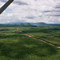 Aireal view over teak plantations Fazenda Kumbarú