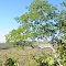 Serra das Araras - Cerrado brasileiro, Mato Grosso