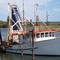 Fishing boat at Jerseyville on the Macleay River