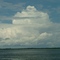 Rio Amazonas - Amazônia - Brasil
