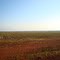 Mato Grosso  Itanhangá-MT