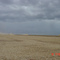 Colheita de soja em 2005
