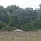 Cadastro de Compromisso Socioambiental - Fazenda Berrante de Ouro - Cadastrada desde 2011