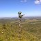 Serra de Caldas, Rio Quente. vista geral.*** Sierra Caldas, Hot River. Overview