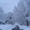 Looking down to the west from Delmor Ave in late Winter.