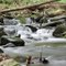 Stream in Monson (mistyness from long shutter time)