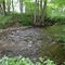 Laughing Brook, Hampden MA