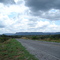 DSC1223