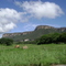 Serra Geral, divisa Tocantis/Bahia, Brazil