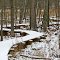 Virgin snow on the  boardwalk in Seven Ponds Nature Center