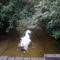 Rio Sucupira no Parque Estadual Serra das Andorinhas