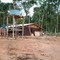 acampamento manejo florestal, fazenda renascer.jcb